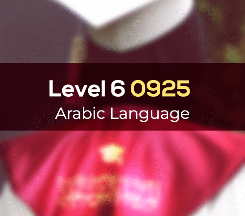0325 LEVEL 6 ABY