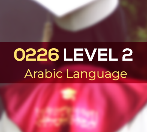 LEVEL 2 0226 PIC AL